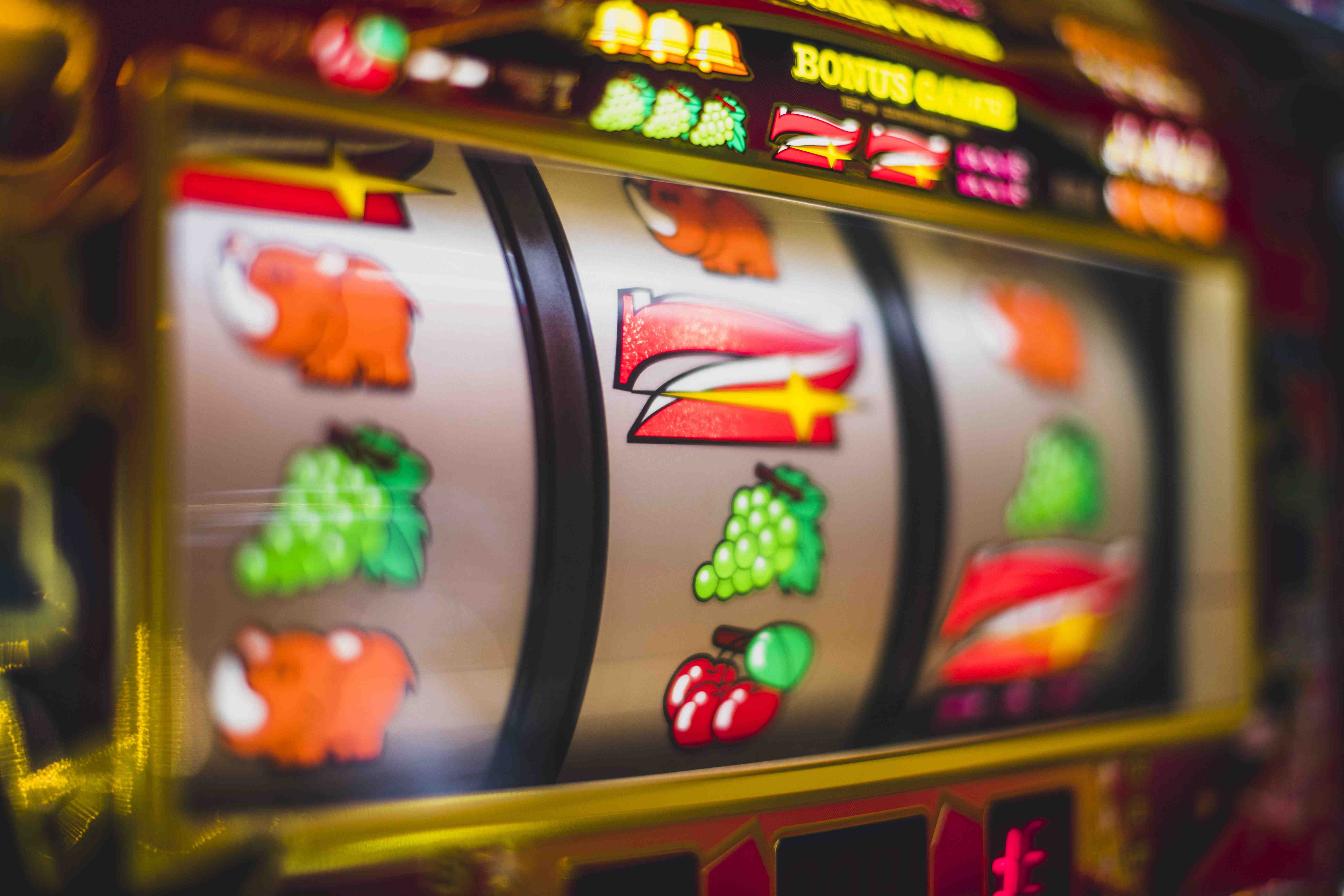 vs555 casino