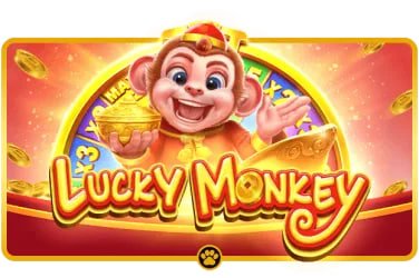 vs555 casino